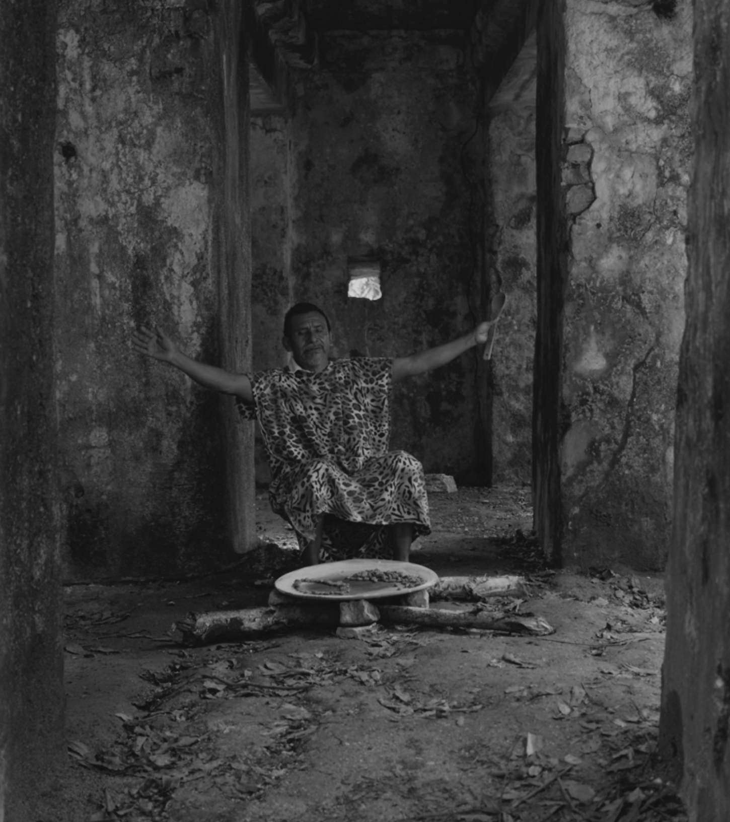 La leyenda del árbol secreto.  Presentación de documental y libro